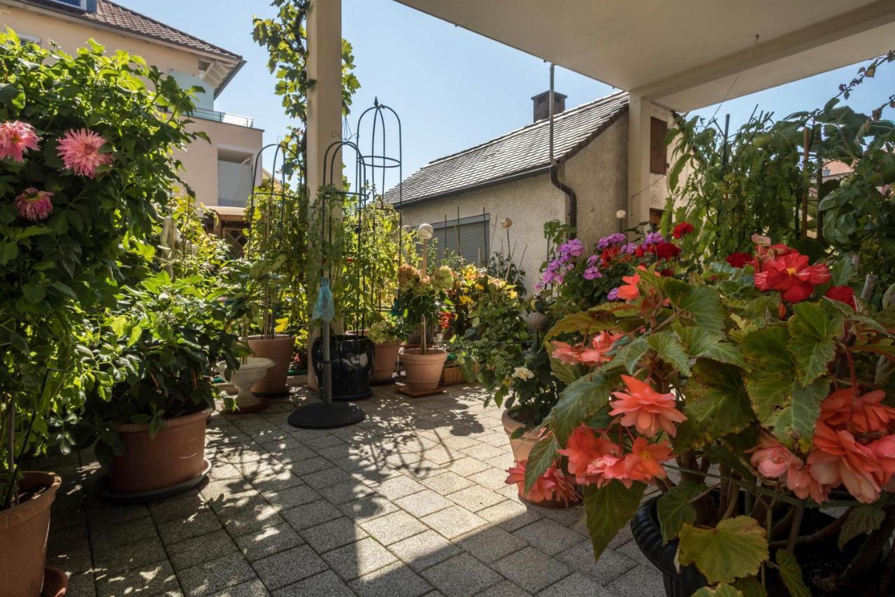 Gruene Oase Apartment FDH Exterior foto
